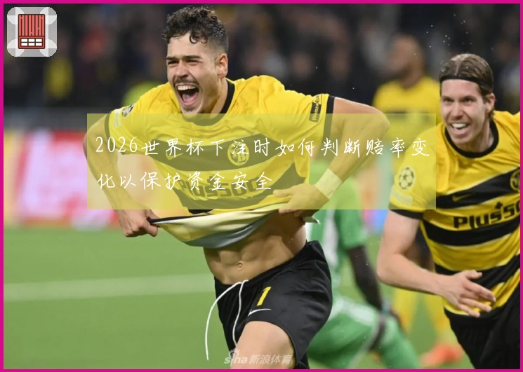 2026世界杯下注时如何判断赔率变化以保护资金安全