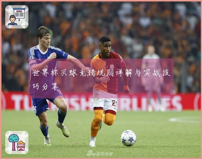 世界杯买球竞猜规则详解与实战技巧分享