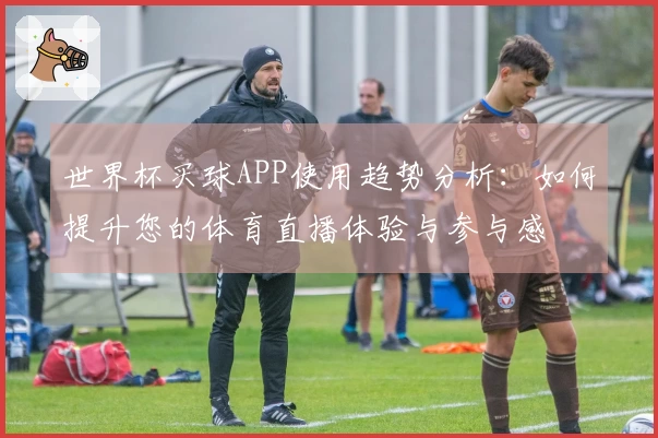 世界杯买球APP使用趋势分析：如何提升您的体育直播体验与参与感