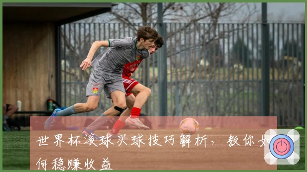 世界杯滚球买球技巧解析，教你如何稳赚收益