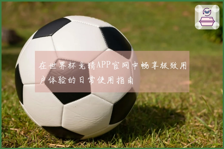 在世界杯竞猜APP官网中畅享极致用户体验的日常使用指南