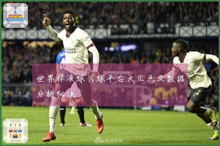 世界杯滚球买球平台大汇总及数据分析秘诀