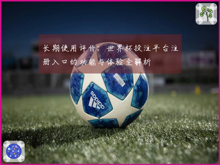 长期使用评价：世界杯投注平台注册入口的功能与体验全解析