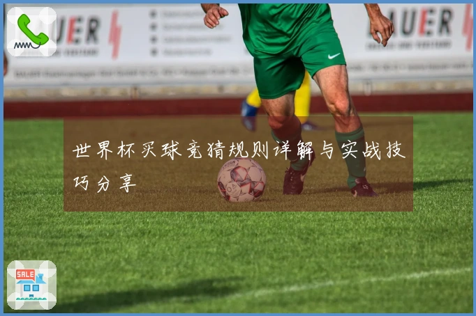 世界杯买球竞猜规则详解与实战技巧分享