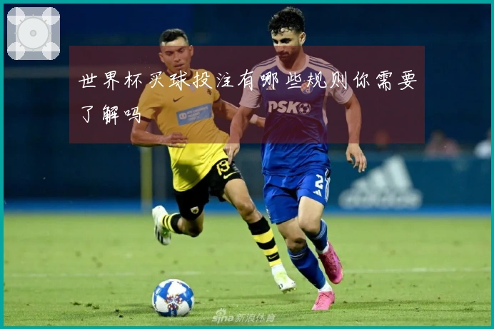世界杯买球投注有哪些规则你需要了解吗