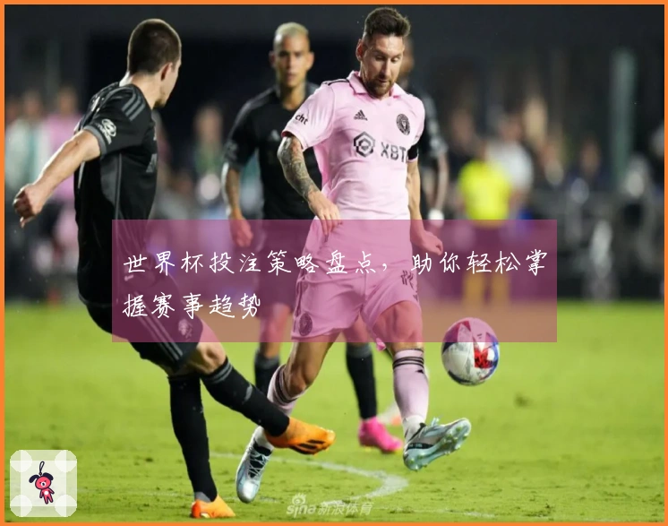 世界杯投注策略盘点，助你轻松掌握赛事趋势