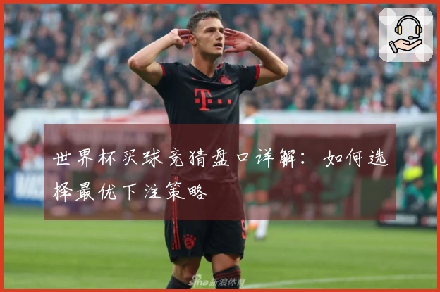 世界杯买球竞猜盘口详解:如何选择最优下注策略