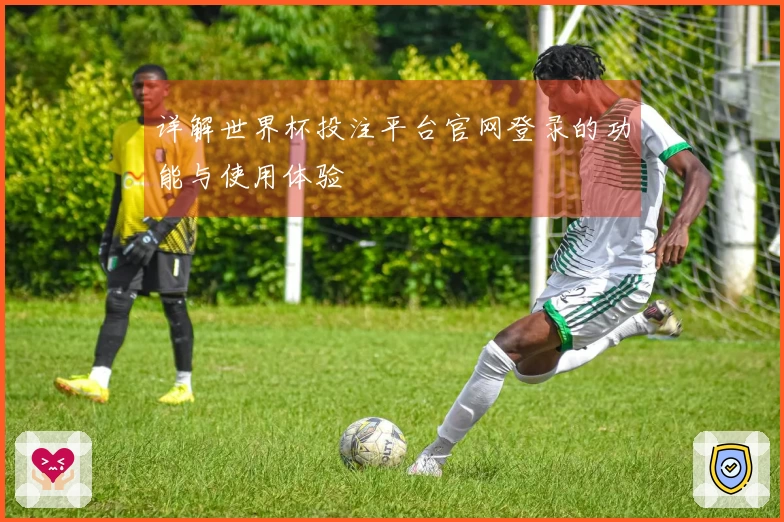 详解世界杯投注平台官网登录的功能与使用体验