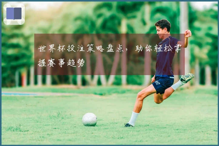世界杯投注策略盘点,助你轻松掌握赛事趋势