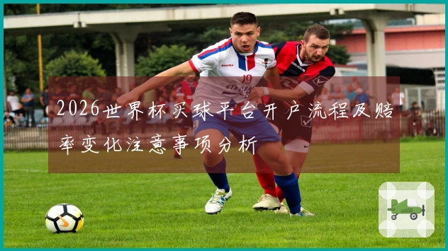 2026世界杯买球平台开户流程及赔率变化注意事项分析