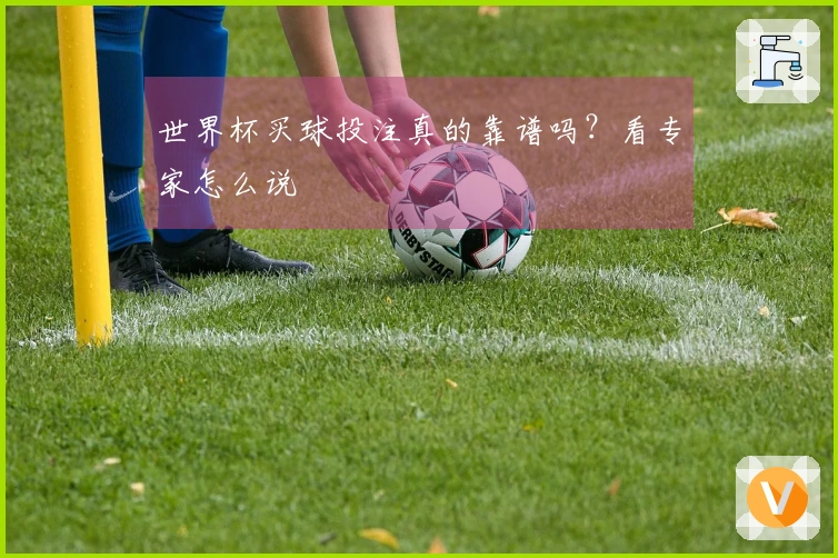 世界杯买球投注真的靠谱吗？看专家怎么说